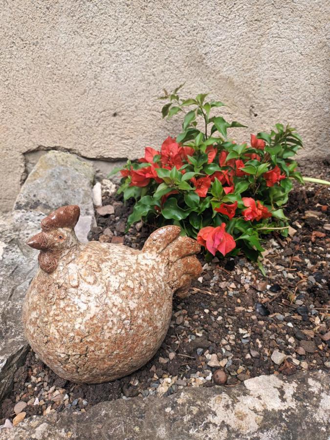 Le Jardin Secret Bed and Breakfast Saint-Antonin Buitenkant foto